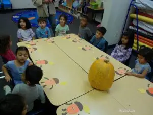 WhatsApp Image 2025-10-23 at 2.34.52 PM (1)