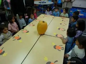 WhatsApp Image 2025-10-23 at 2.34.52 PM